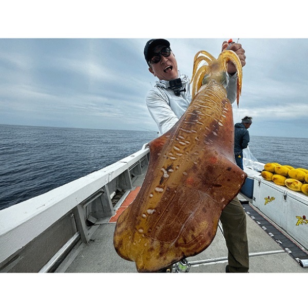 23EMERALDAS STOIST ST